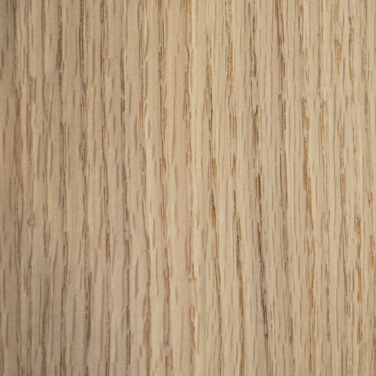 Échantillons de bois